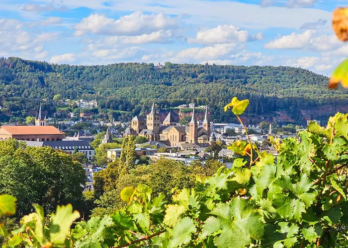 Vintage Hotel Petrisberg Trier